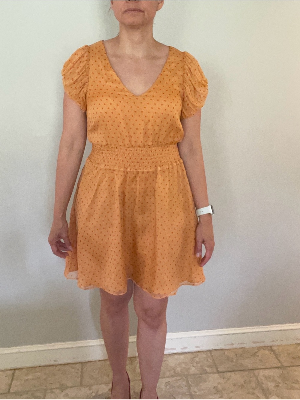 Dallin Chase 100% Silk Polka Dot Mini Dress
